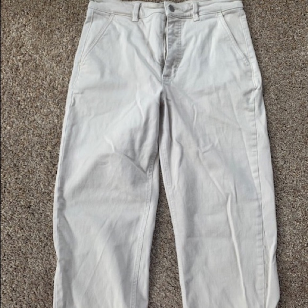 Everlane Straight Leg Crop (Short)